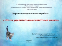 Что за удивительные животные кошки