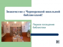 Библиотечный урок Что такое библиотека