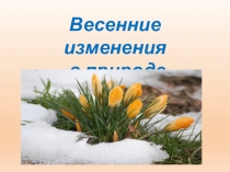 Презентация по окружающему миру на тему: Весенние изменения в природе(викторина)