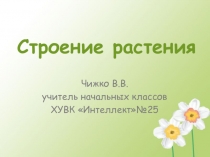 Презентация к уроку природоведения Строение растений(1 класс)