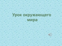 Презентация по окружающему миру на тему Старинные весенние праздники