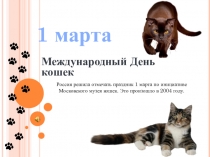 Библиотечный урок на тему: Международный день кошек