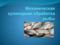 Презентация по учебной практике