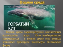 Кто где живет? Часть 2