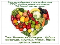 Механическая кулинарная обработка корнеплодов, капустных, луковых. Нарезка простая и сложная.