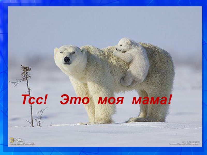 Презентация к уроку русского языка в 5 классе на тему: Это необыкновенное междометие Тсс! Это моя мама! Тсс! Это моя мама!