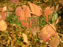 Презентация по окружающему миру на тему Осень - чудная пора 1 класс