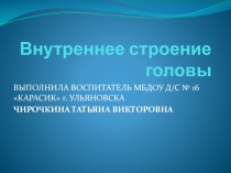 Презентация по ознакомлению с миром природы на тему Внутреннее строение головы ( подготовительная группа)