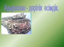 Презентация по казахскому языку на тему Зат есім