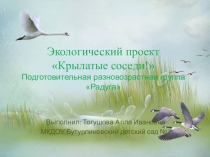 Экологический проект по теме Крылатые соседи