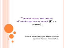 Презентация  Кот из свитера