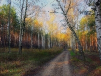 Презентация Приемы рефлексии учащихся на уроках в начальной школе