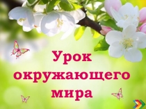 Презентация к уроку окружающего мира 2 класс по теме В гости к весне