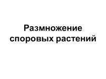 Презентация по биологии для 6 класса
