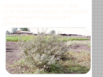 Презентация по Программе развития МБОУ Русско-Янгутская СОШ
