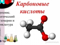 Презентация по химии на тему  Карбоновые кислоты 10класс