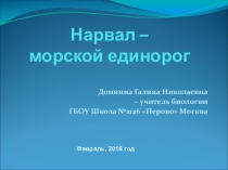 Презентация по биологии на тему Нарвал - морской единорог