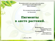 Презентация по биологии на тему Пигменты в листьях растений.