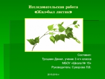 Детская презентация к исследовательской работе