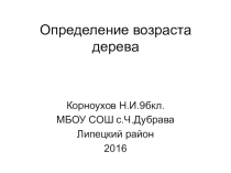 Презентация по краеведению Определение возраста дерева