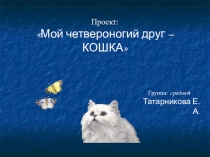 Презентация для старшей группы