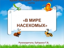 Презентация к НОД В мире насекомых