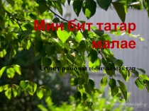 Презентация к конкурсу: Татар малае