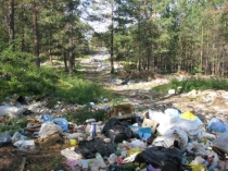 Презентация к уроку окружающего мира на тему Природа в опасности(3 класс)