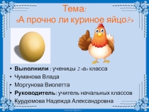 Исследовательская работа по теме А прочно ли куриное яйцо?