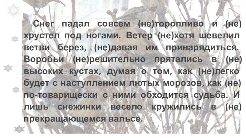 Презентация по русскому языку на тему Слитное и раздельное написание НЕ с наречиями на -О и -Е Снег падал совсем (не)торопливо и (не)хрустел под ногами. Ветер (не)хотя шевелил Снег падал совсем (не)торопливо и (не)хрустел под ногами. Ветер (не)хотя шевелил ветви берез, (не)давая им принарядиться. Воробьи
