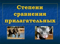 Презентация Степень сравнения прилагательных