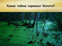 Презентация по окружающему миру Какие тайны скрывает болото