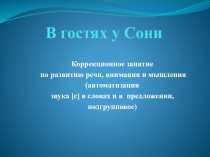 Коррекционное занятие по развитию речи, внимания и мышления (автоматизация звука [с] в словах и в предложении, подгрупповое)