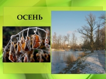 Презентация к уроку русского языка на тему:  Проверяемые безударные гласные в корне слова ( 3 класс)