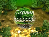 Веб-квест к уроку окружающего мира на тему:Охрана природы