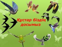 Презентация: Құстар-біздің досымыз Ашық тәрбие сағаты.(Даярлық топ)