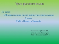 Презентация по русскому языку на тему Множественное число имён существительных