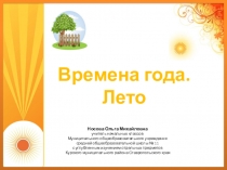 Предшкольная подготовка. Окружающий мир Времена года. Лето