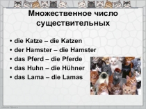 Презентация, памятка для учащихся и упражнение по немецкому языку на тему Множественное число существительных