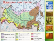 Презентация по окружающему миру Арктические пустыни
