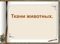 Презентация к уроку биологии 6 класса Ткани животных
