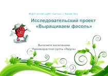 Исследовательский проект Выращиваем фасоль.