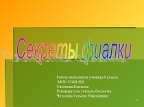 Исследовательский проект Секреты фиалки