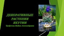 Презентация по биологии декоративные растения Якутии