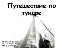 Внеклассное занятие Путешествие по тундре