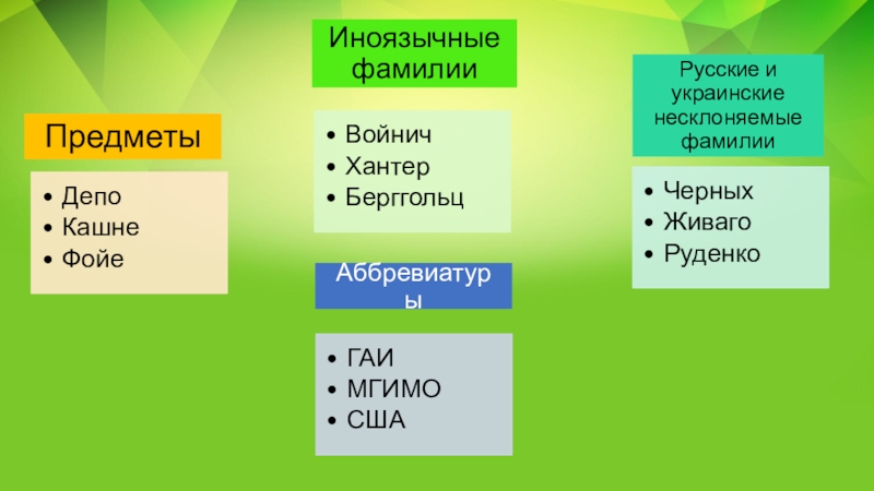 Презентация по русскому языку на тему Несклоняемые имена существительные (6 класс)
