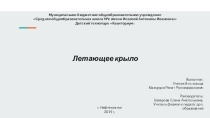 Защита проекта по теме Летающее крыло