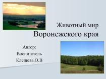 Животный мир Воронежского края''