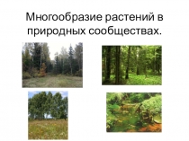 Презентация по биологии  Многообразие растений в природных сообществах