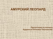 Презентация по географии Амурский леопард